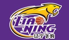 辽宁飞豹最新爆料,揭秘我国先进战机研发进展